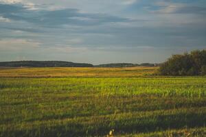 View of the field in the evening in the village. The clouds photo