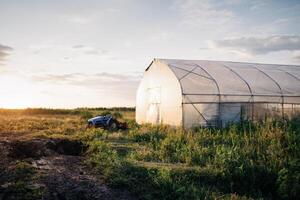 An agricultural landscape with a greenhouse used for growing vegetables and greens in the wintertime and a blue tractor. A green field. The farm at sunset. photo