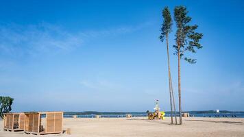 Tall fir trees on the beach next to the playground photo