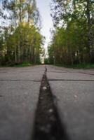 A sidewalk path in the forest of concrete slabs leads up photo