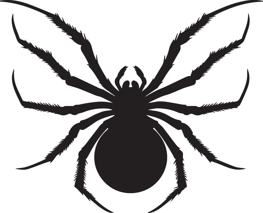 Spider Silhouette Vector Art Icons and Graphics for Free Download Spider Silhouette Vector Art Icons and Graphics for Free Download