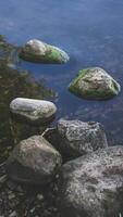 Algae-covered rocks on the shore of the stone shore of the lake photo