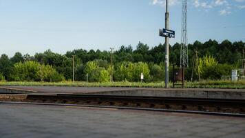 Train station, platform, a growing forest. Platform 2, Path 2, Path 3 photo