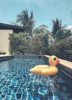 Yellow duck inflatable ring floating in swimming pool surrounding with palm trees photo