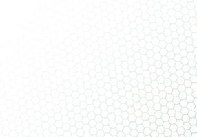 Hexagonal lines background. vector