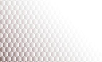 Hexagonal shape background. vector