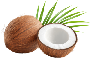 Halved Coconut with Green Fronds on Transparent Background png