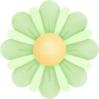 Green flower has 8 petals and the petals overlap inside png