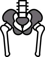 Hip skeleton in line drawing style vector