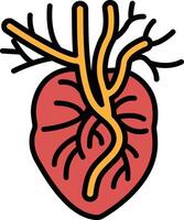 A black and white drawing of a heart with its veins vector