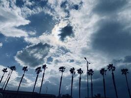 Clouds and trees photo