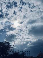 Clouds and trees photo