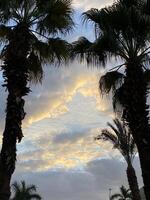 Clouds and trees photo