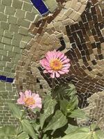 Flower standing in front of a mosaic wall photo