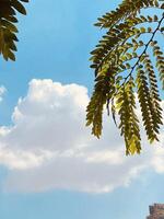 Amazing big clouds photo