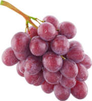Fresh and Juicy Cluster of Red Grapes Hanging from a Stem png
