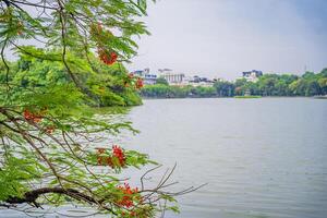 Red The Huc Bridge and Ngoc Son Temple in the center of Hoan Kiem Lake, Hanoi, Vietnam. Famous destination of Vietnam photo