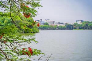 Red The Huc Bridge and Ngoc Son Temple in the center of Hoan Kiem Lake, Hanoi, Vietnam. Famous destination of Vietnam photo