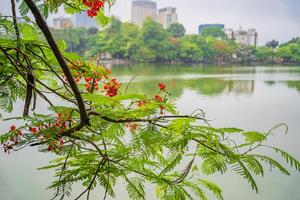 Hoan Kiem lake or Sword lake, Ho Guom in Hanoi, Vietnam with Turtle Tower, on clear day with blue sky and white clouds photo
