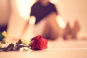 Close up of red rose on a narrow beam of sunlight on background of a blurry image of unrecognisable woman. Backdrop with copy space, empty, peach fuzz. Template, mock up for your design, text, card photo