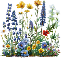 A colorful garden of flowers with a blue and white flower in the foreground. The flowers are arranged in a way that creates a sense of depth and movement. Scene is cheerful and vibrant png