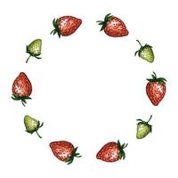 Strawberry wreath, round frame with red and green berries, hand drawn watercolor illustration. Ideal template for logo, banner, greeting card, invitation or menu design. vector