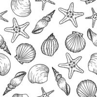 Underwater seamless pattern with seashells line art illustrations in black color. Scallop sketch, seashell line drawing. Summer ocean beach print for background, textile, fabric vector