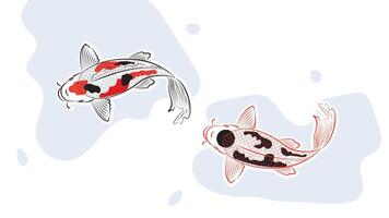 Japanese koi fish drawing illustration isolated in red circle bakground with blank space, drawing line vector
