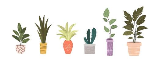 Plants in Flowerpots. Home Decor. A Collection of Various Houseplants. Hand-Drawn Illustrations on White Background. Isolated and Ready for Use. vector