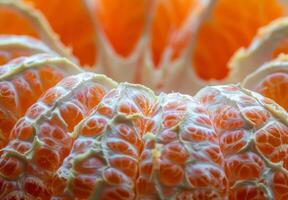 A close-up of a peeled orange, focusing on the textured white pith photo