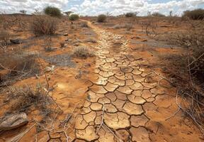 A detailed view of a drought stricken landscape with dusty, cracked ground and sparse vegetation photo