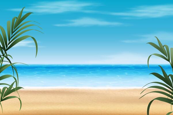 3d realistic illustration. Summer background. Sea and beach view with palms.