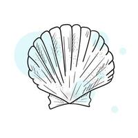 Scallop sea shell, sketch style illustration isolated on white background. Hand drawn illustration of sea Shell on isolated background. Drawing of Scallop on outline style. vector