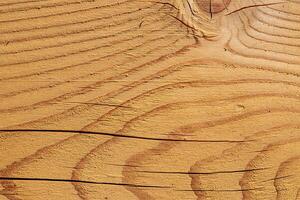 Wood abstract texture. Surface grunge backdrop. Dirty wooden effect pattern. Material background. photo