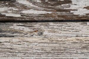 Wood abstract texture. Surface grunge backdrop. Dirty wooden effect pattern. Material background. photo