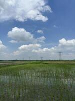 Overall impression is one of tranquility and vastness. photo