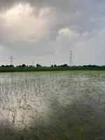 Overall atmosphere is one of serenity and contemplation, inviting the viewer to appreciate the vastness and richness of the landscape. photo