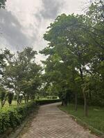 Beautiful view of a garden photo