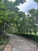 Beautiful view of a park photo
