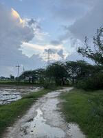 Winding Lane Through Green Fields photo