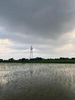 overall atmosphere is one of serenity and contemplation, inviting the viewer to appreciate the vastness and richness of the landscape. photo