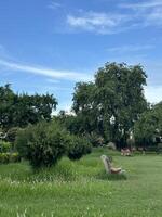 Beauty of a park and nature photo