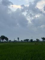 atmosphere is one of tranquility and peace, inviting the viewer to soak in the beauty of the rural landscape. photo