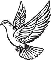 A dove in flight. Flying dove silhouette image vector