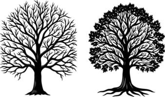 Big tree with leaves and without leaves. silhouette art and illustration. vector