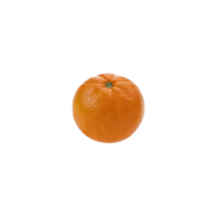 Bright orange showcased on a flawless, see through background png