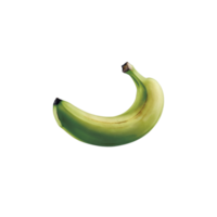 Fresh banana photo with transparent and natural background png