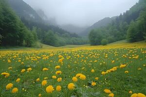 Beautiful view of a flowering field with mountains in the background. photo