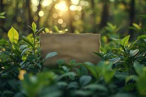Eco-Friendly Nature Background with Blank Vintage Paper for Custom Messages - Perfect for Sustainable Design and Environmental Projects photo