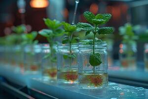 Vibrant Laboratory Experiment with Plant Propagation in Glass Jars - Biotechnology and Innovation photo